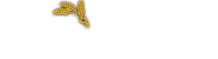 Shop Name