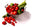 Fresh Produce